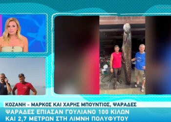Ψαράδες έπιασαν γουλιανό 100 κιλών και 2,7 μέτρων στη Λίμνη Πολυφύτου