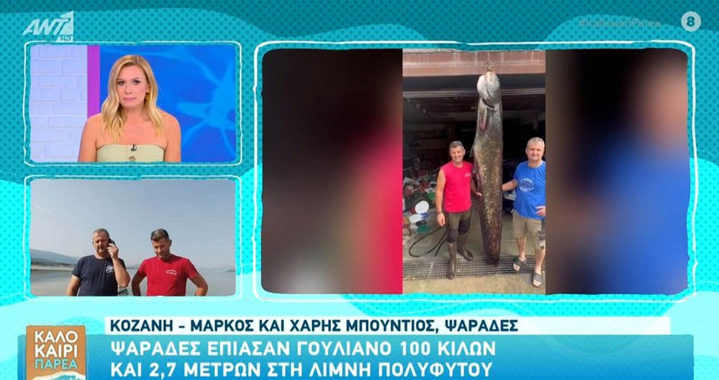 Ψαράδες έπιασαν γουλιανό 100 κιλών και 2,7 μέτρων στη Λίμνη Πολυφύτου