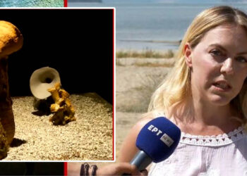 Φλώρινα: Η ύλη ξαναγεννιέται μέσα από την τέχνη στο τριεθνές των Πρεσπών