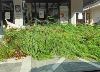 Πτολεμαΐδα: Θυελλώδεις άνεμοι σαρώνουν την πόλη – Έπεσε δέντρο, ζημιές και σε τέντες (Φωτογραφίες και βίντεο)