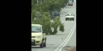 Περδίκκας: Δέντρο έπεσε στο δρόμο από τους θυελλώδεις ανέμους (βίντεο)