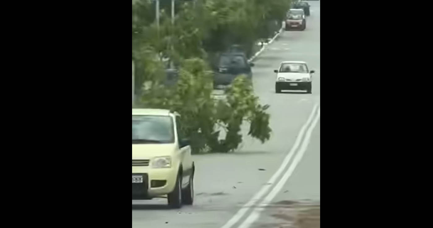 Περδίκκας: Δέντρο έπεσε στο δρόμο από τους θυελλώδεις ανέμους (βίντεο)