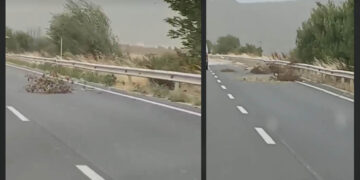 Αυξημένη προσοχή απαιτείται στο δρόμο Πτολεμαΐδας – Κοζάνης: Σπασμένα κλαδιά και αντικείμενα μετά τους θυελλώδεις ανέμους