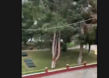 Πτολεμαΐδα: Βίντεο δείχνει τη στιγμή που το τεράστιο δέντρο πέφτει στο πάρκο του Χρηστίδη!