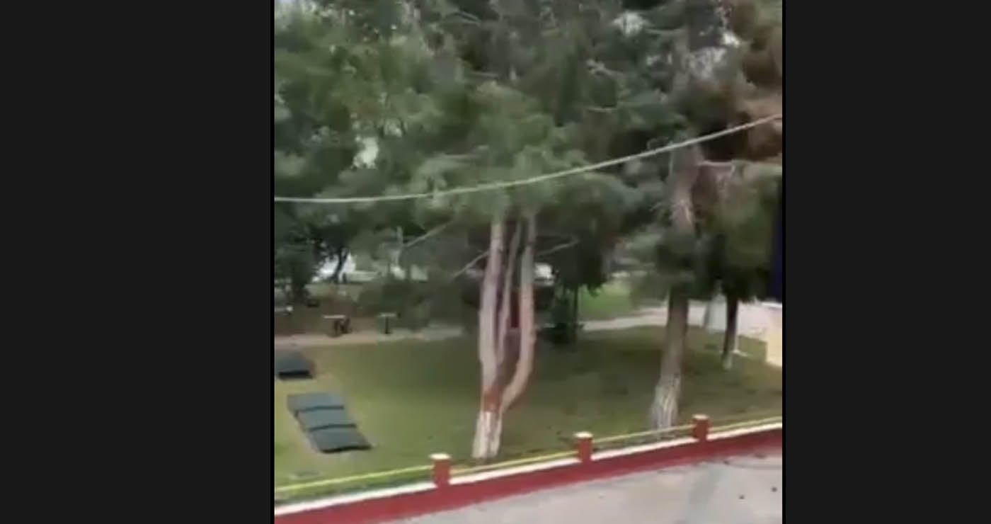 Πτολεμαΐδα: Βίντεο δείχνει τη στιγμή που το τεράστιο δέντρο πέφτει στο πάρκο του Χρηστίδη!