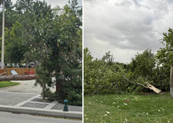 Πτολεμαΐδα: Ζημιές και σε Πάρκο Λιγνίτη και Παλιό Πάρκο – Δέντρα και κλαδιά κατέρρευσαν  (Φωτογραφίες)