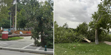 Πτολεμαΐδα: Ζημιές και σε Πάρκο Λιγνίτη και Παλιό Πάρκο – Δέντρα και κλαδιά κατέρρευσαν  (Φωτογραφίες)