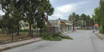 Ζημιές και στην οδό Παυλίδη Αδαμοπούλου από τους θυελλώδεις ανέμους – Κλαδιά δέντρων έσπασαν και έφυγαν μπροστά στον δρόμο (Ρεπορτάζ της Κούλας Πουλασιχίδου)