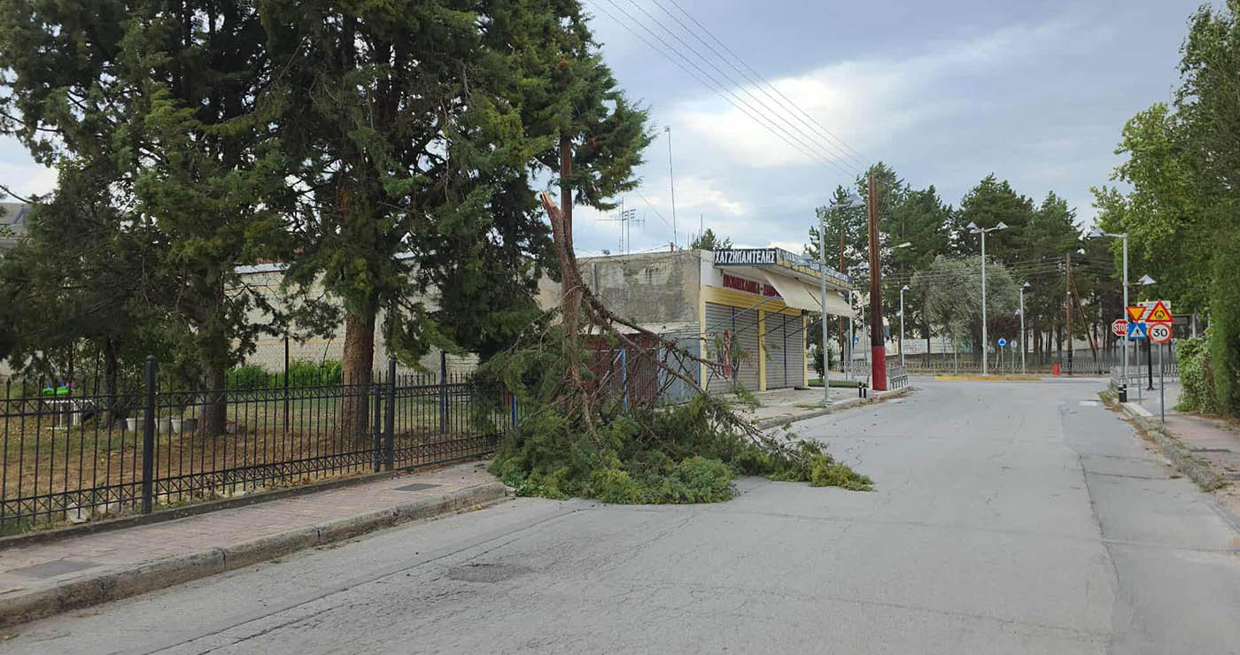 Ζημιές και στην οδό Παυλίδη Αδαμοπούλου από τους θυελλώδεις ανέμους – Κλαδιά δέντρων έσπασαν και έφυγαν μπροστά στον δρόμο (Ρεπορτάζ της Κούλας Πουλασιχίδου)