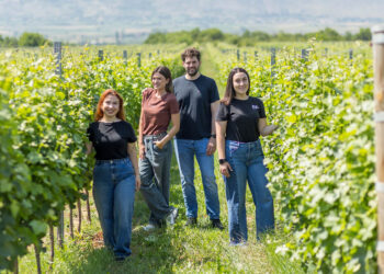 Οίνος με υπογραφή Αμυνταίου: Νέο βιοκλιματικό οινοποιείο επενδύει στη γη και στην κοινότητα