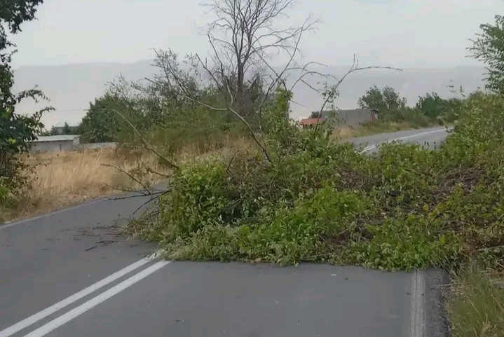 Κλειστό το ένα ρεύμα κυκλοφορίας από Κρόκο προς Άνω Κώμη λόγω πτώσης δέντρου