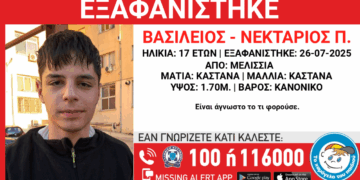“Χτύπησε” το Amber Alert για τον 17χρονο Βασίλη-Νεκτάριο που χάθηκε στα Μελίσσια