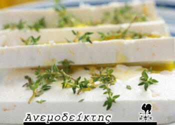 Η ευλογιά των προβάτων υπονομεύει και την παραγωγή της φέτας,  σύμφωνα με τον ΣΕΒΓΑΠ – Από τον ΑΝΕΜΟΔΕΙΚΤΗ (30/8)