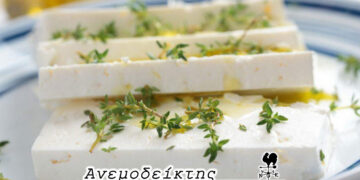 Η ευλογιά των προβάτων υπονομεύει και την παραγωγή της φέτας,  σύμφωνα με τον ΣΕΒΓΑΠ – Από τον ΑΝΕΜΟΔΕΙΚΤΗ (30/8)