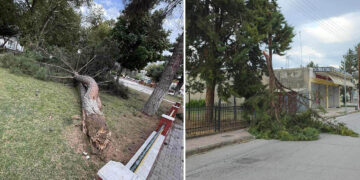 Παρεμβάσεις της Πυροσβεστικής στη χθεσινή κακοκαιρία: 100 κλήσεις στις πληττόμενες περιοχές – Πολλές σε Κοζάνη, Φλώρινα και Καστοριά