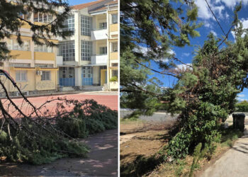 Πτολεμαΐδα: Επικίνδυνες κλίσεις πήραν δέντρα στις εργατικές κατοικίες μετά το χθεσινό μπουρίνι – Δέντρο έπεσε και στο 3ο ΓΕΛ – Ολονύχτια μάχη για τα συνεργεία του Δήμου Εορδαίας(ρεπορτάζ της Κούλας Πουλασιχίδου)
