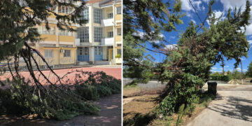 Πτολεμαΐδα: Επικίνδυνες κλίσεις πήραν δέντρα στις εργατικές κατοικίες μετά το χθεσινό μπουρίνι – Δέντρο έπεσε και στο 3ο ΓΕΛ – Ολονύχτια μάχη για τα συνεργεία του Δήμου Εορδαίας(ρεπορτάζ της Κούλας Πουλασιχίδου)