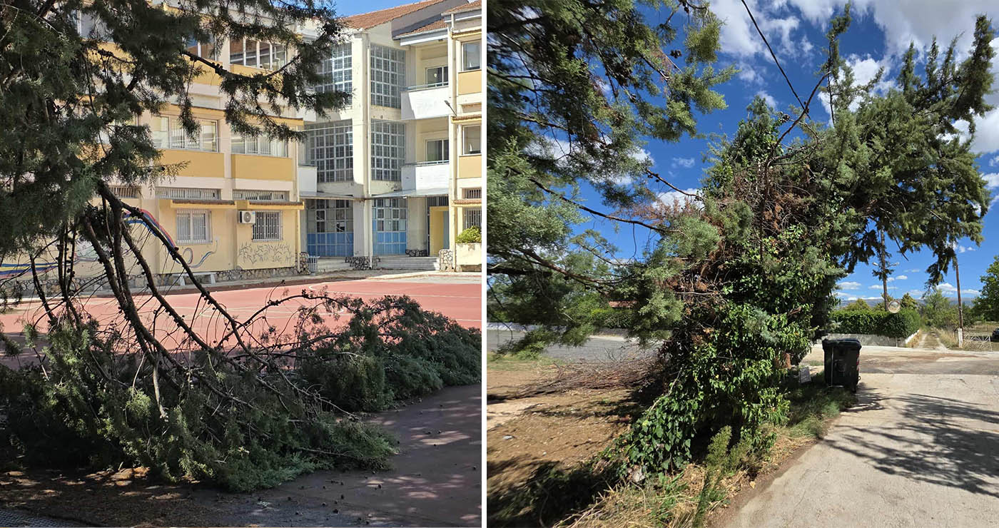 Πτολεμαΐδα: Επικίνδυνες κλίσεις πήραν δέντρα στις εργατικές κατοικίες μετά το χθεσινό μπουρίνι – Δέντρο έπεσε και στο 3ο ΓΕΛ – Ολονύχτια μάχη για τα συνεργεία του Δήμου Εορδαίας(ρεπορτάζ της Κούλας Πουλασιχίδου)