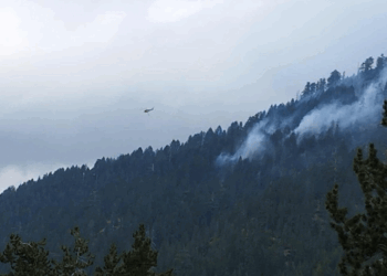 Γρεβενά: Σε εξέλιξη η πυρκαγιά στον Εθνικό Δρυμό της Βάλια Κάλντα