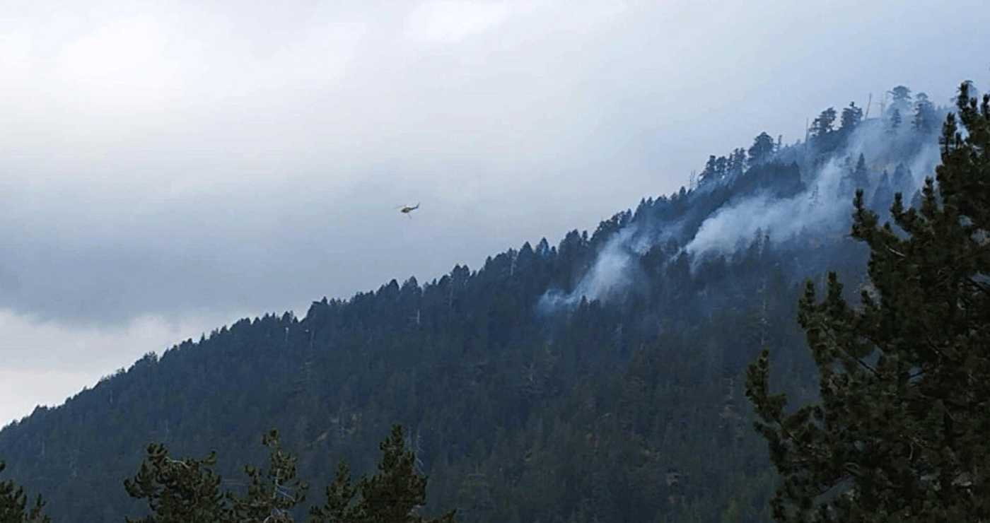 Γρεβενά: Σε εξέλιξη η πυρκαγιά στον Εθνικό Δρυμό της Βάλια Κάλντα