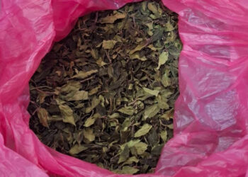 ΑΑΔΕ – Η μεγαλύτερη κατάσχεση φυσικής κόκας: Μισός τόνος αξίας 1,5 εκ. ευρώ στο «Ελ. Βενιζέλος»