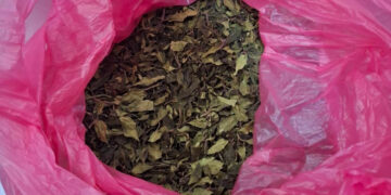 ΑΑΔΕ – Η μεγαλύτερη κατάσχεση φυσικής κόκας: Μισός τόνος αξίας 1,5 εκ. ευρώ στο «Ελ. Βενιζέλος»