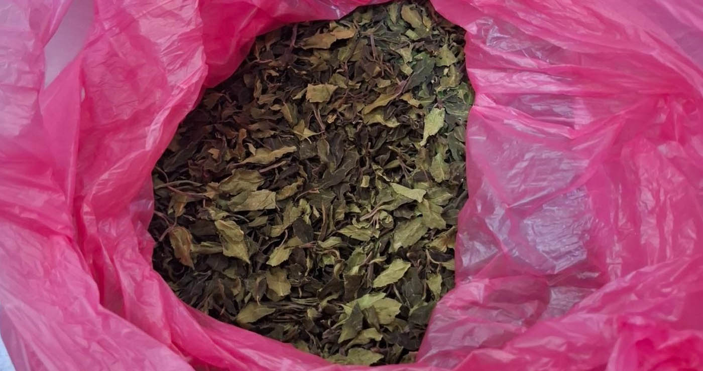 ΑΑΔΕ – Η μεγαλύτερη κατάσχεση φυσικής κόκας: Μισός τόνος αξίας 1,5 εκ. ευρώ στο «Ελ. Βενιζέλος»