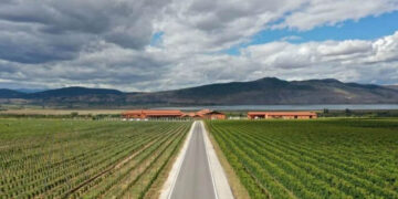 Αμύνταιο: Νέες επενδύσεις 12 εκατ. ευρώ από το «Κτήμα Άλφα»