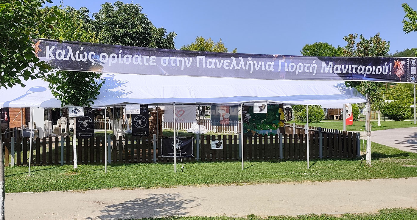 Γρεβενά:  Όλα έτοιμα για την 19η Πανελλήνια Γιορτή Μανιταριού – Πλούσιες δράσεις και η κορυφαία γιορτή μανιταρογνωσίας!