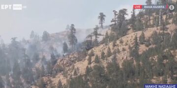 Υπό έλεγχο η φωτιά στη Βάλια Κάλντα – Καίει σε απόκρημνο, δύσβατο σημείο (video)