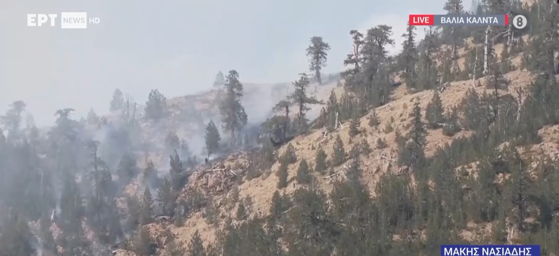 Υπό έλεγχο η φωτιά στη Βάλια Κάλντα – Καίει σε απόκρημνο, δύσβατο σημείο (video)