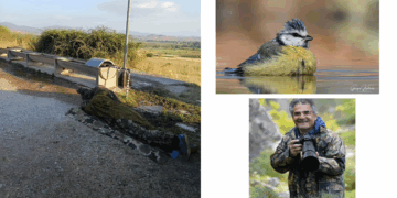 Πρωινό στο βουνό με τον φωτογράφο πουλιών Γιώργο Κωστικίδη – Μιλά για τη φωτογράφηση στο βουνό (Βίντεο)