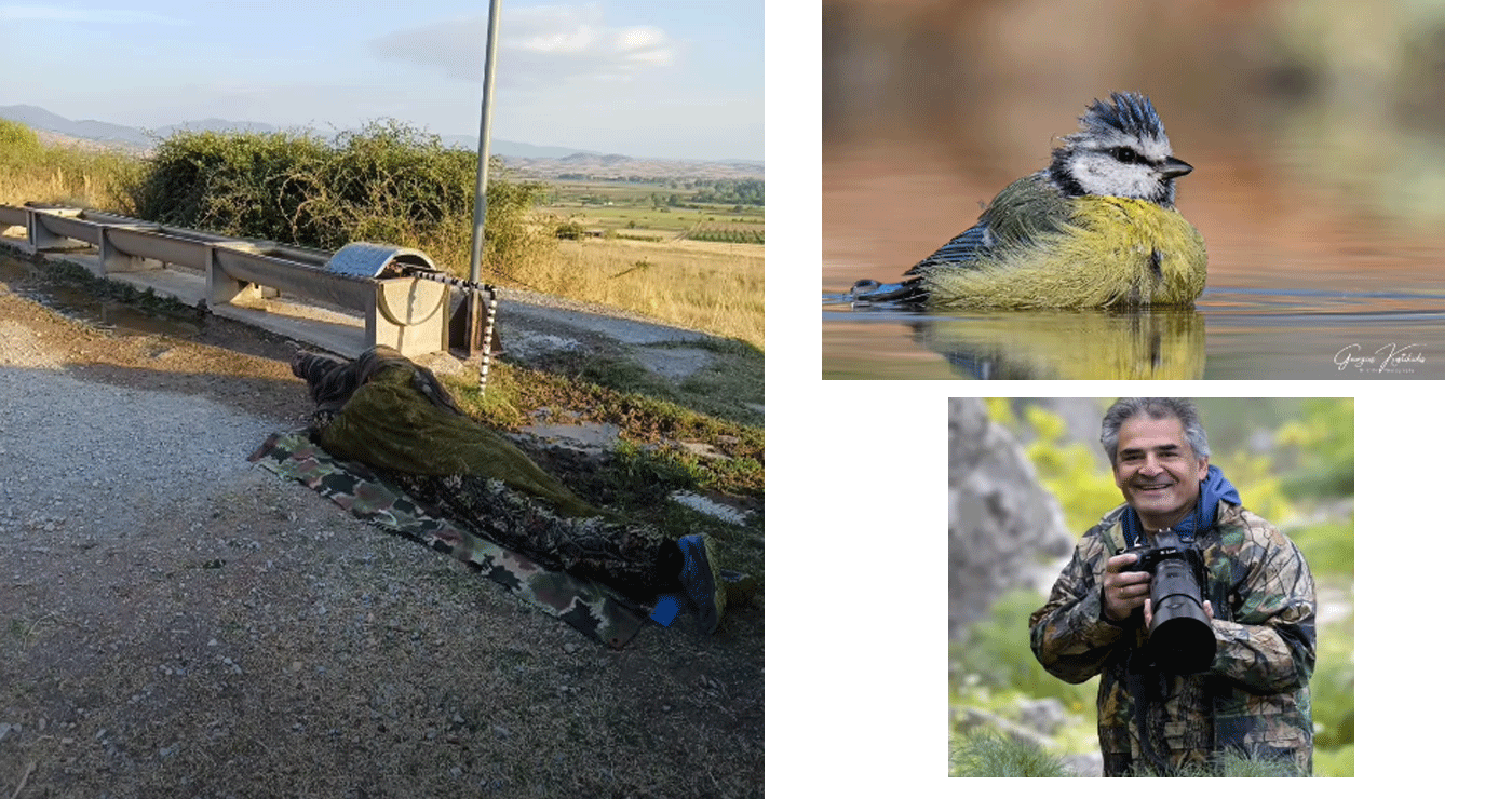 Πρωινό στο βουνό με τον φωτογράφο πουλιών Γιώργο Κωστικίδη – Μιλά για τη φωτογράφηση στο βουνό (Βίντεο)