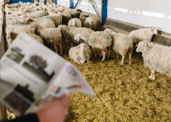 Proud Farmers: Στον “αέρα” η θερμοκοιτίδα νέων κτηνοτρόφων στη Δυτική Μακεδονία