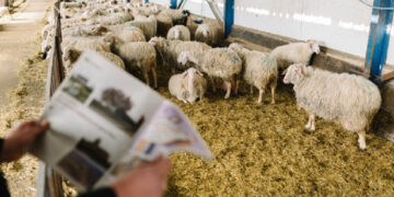 Proud Farmers: Στον “αέρα” η θερμοκοιτίδα νέων κτηνοτρόφων στη Δυτική Μακεδονία