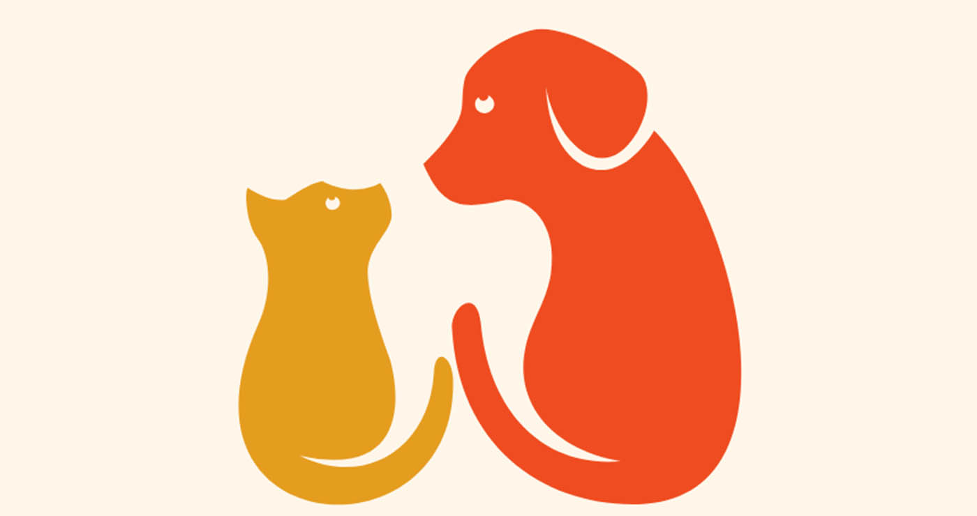 Κοζάνη: Συνεχίζονται οι δωρεάν στειρώσεις ζώων – Νέες ημερομηνίες