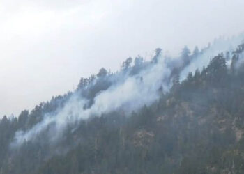 Βάλια Κάλντα: Η ζημιά που έγινε από τη φωτιά στον Εθνικό Δρυμό