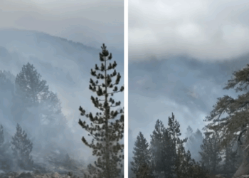 Δείτε βίντεο από τη φωτιά που κατακαίει τον Εθνικό Δρυμό της Βάλια Κάλντα στα Γρεβενά