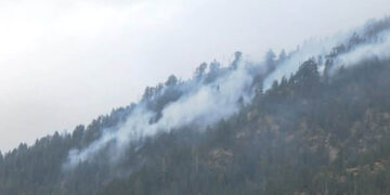 Βάλια Κάλντα: Η ζημιά που έγινε από τη φωτιά στον Εθνικό Δρυμό