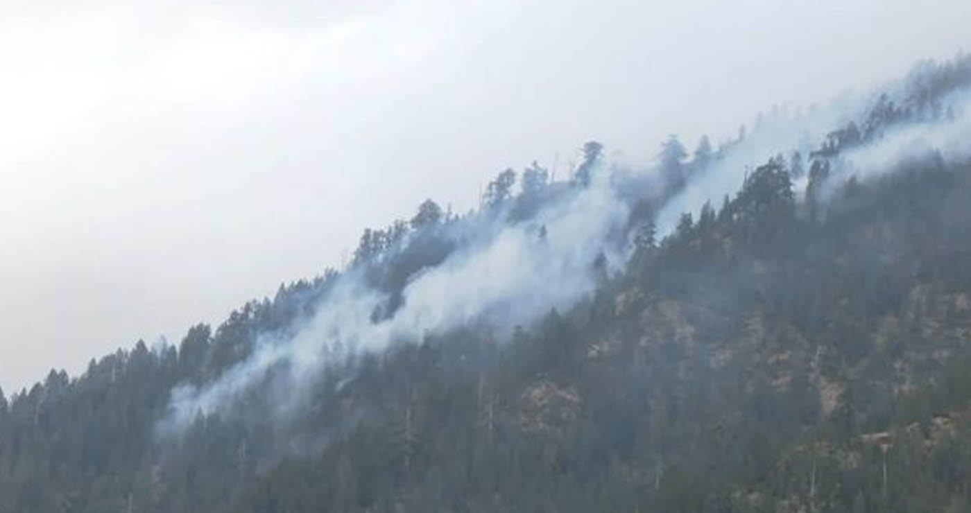 Βάλια Κάλντα: Η ζημιά που έγινε από τη φωτιά στον Εθνικό Δρυμό