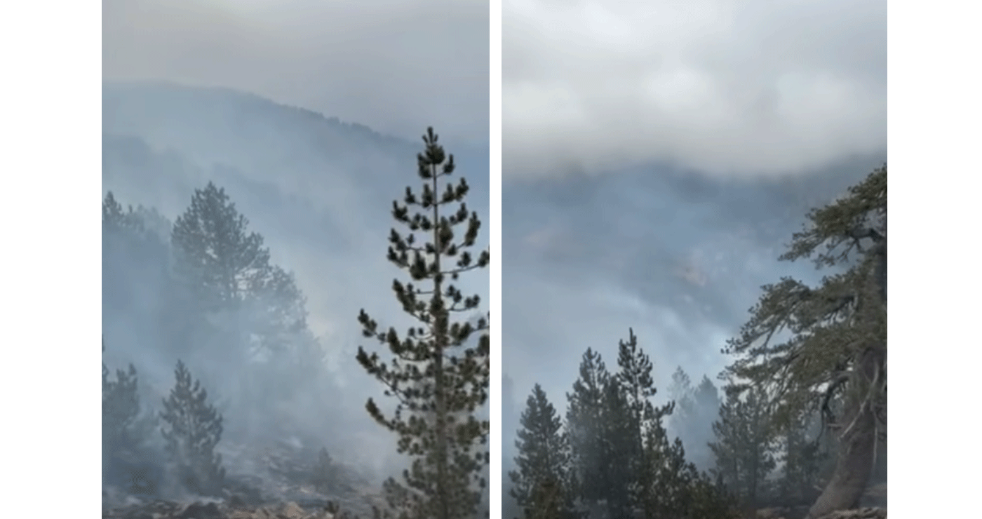 Δείτε βίντεο από τη φωτιά που κατακαίει τον Εθνικό Δρυμό της Βάλια Κάλντα στα Γρεβενά