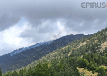 Βάλια Κάλντα: Περιορίστηκε σε δύσβατη πλαγιά η πυρκαγιά (Φωτογραφίες + Βίντεο)