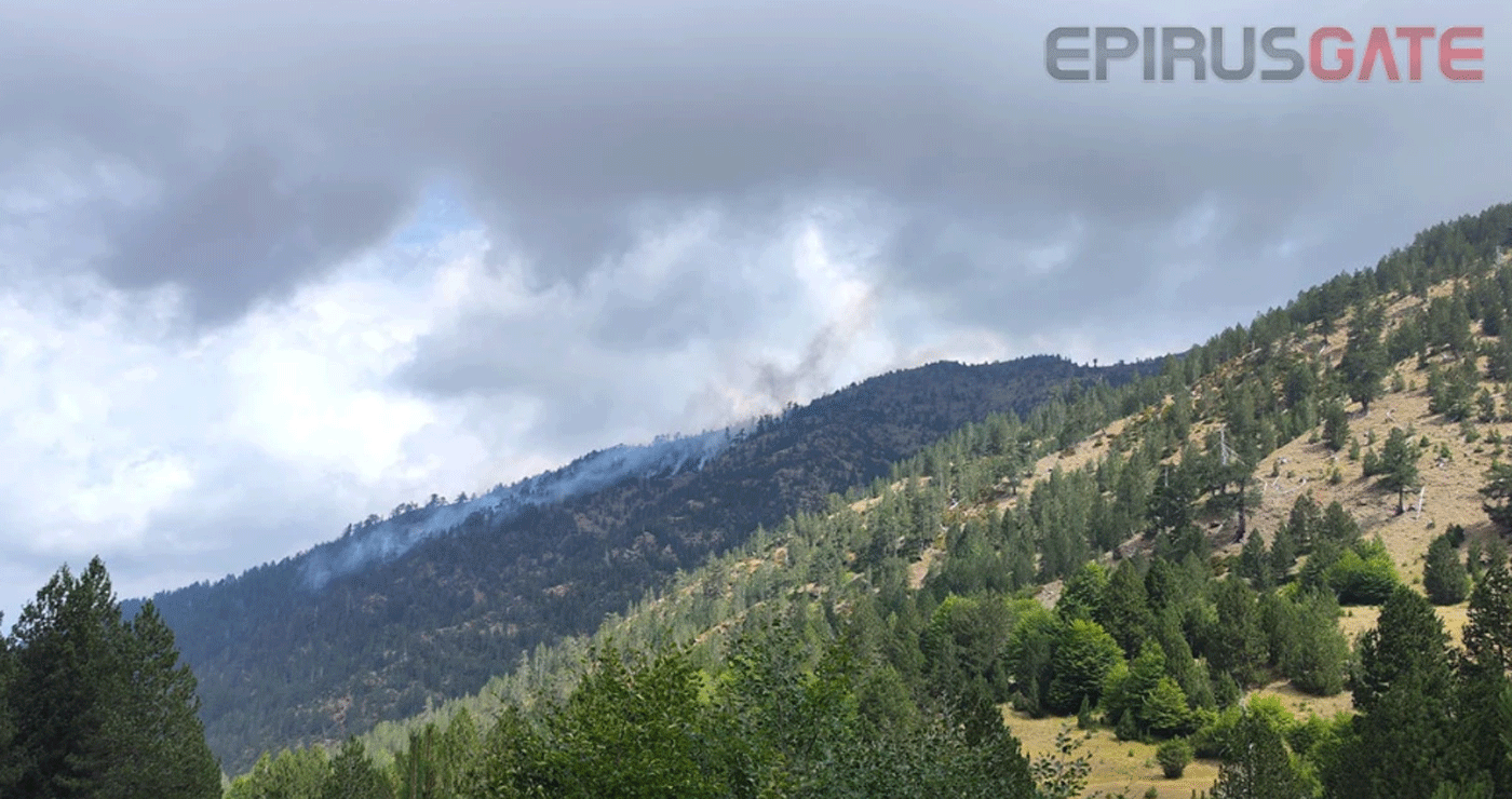 Βάλια Κάλντα: Περιορίστηκε σε δύσβατη πλαγιά η πυρκαγιά (Φωτογραφίες + Βίντεο)