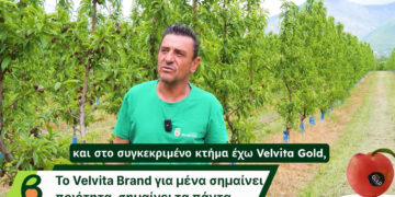 Από τη Γριτσάνη Βελβεντού στο ράφι της Ευρώπης, με την υπογραφή Velvita Gold (Βίντεο)