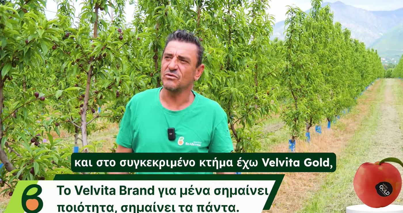 Από τη Γριτσάνη Βελβεντού στο ράφι της Ευρώπης, με την υπογραφή Velvita Gold (Βίντεο)