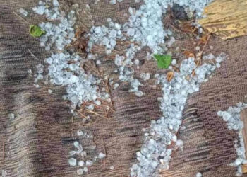 Χαλάζι σε μέγεθος φουντουκιού «σάρωσε» τις καλλιέργειες στον Αντιγόνο Αμυνταίου