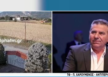 Αντιδράσεις από τις δηλώσεις Χαρούμενου για «θανάτωση αρκούδων» – «Να ναρκώνονται και να μεταφέρονται αλλού», τονίζει στον ΣΚΑΙ ο αντιπεριφερειάρχης