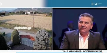 Αντιδράσεις από τις δηλώσεις Χαρούμενου για «θανάτωση αρκούδων» – «Να ναρκώνονται και να μεταφέρονται αλλού», τονίζει στον ΣΚΑΙ ο αντιπεριφερειάρχης