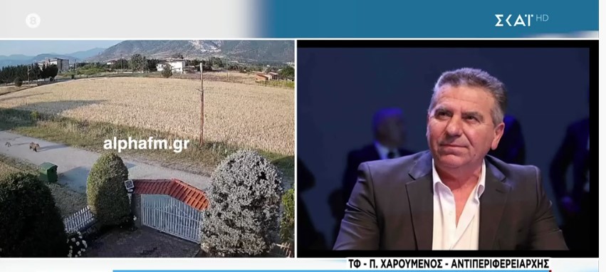 Αντιδράσεις από τις δηλώσεις Χαρούμενου για «θανάτωση αρκούδων» – «Να ναρκώνονται και να μεταφέρονται αλλού», τονίζει στον ΣΚΑΙ ο αντιπεριφερειάρχης