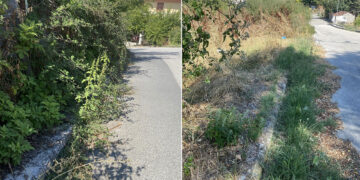 Πνιγμένη στα χόρτα η Αιανή- «Αμαζόνιος» η Ιστορική Έδρα του Δήμου Κοζάνης(βίντεο&φωτογραφίες)